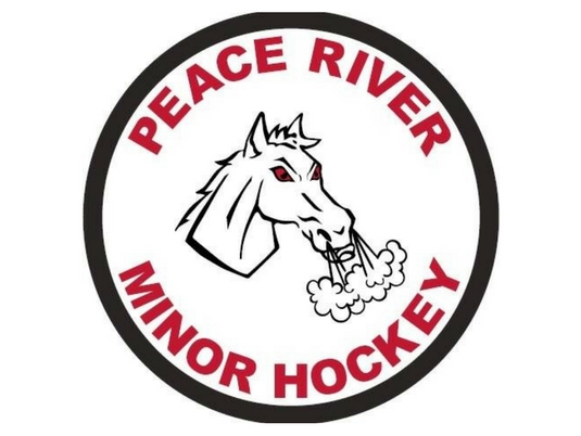 9919 PR Minor Hockey Resized